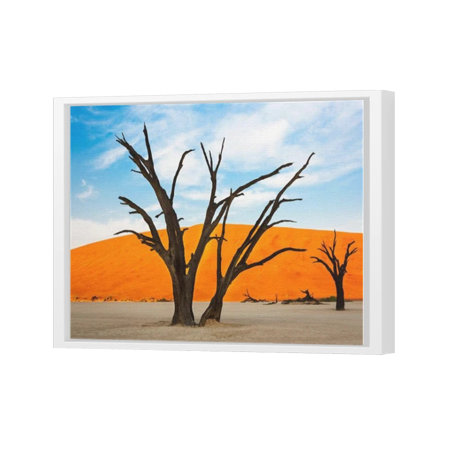 Thumbnail for Canvas - White Floating Frame
