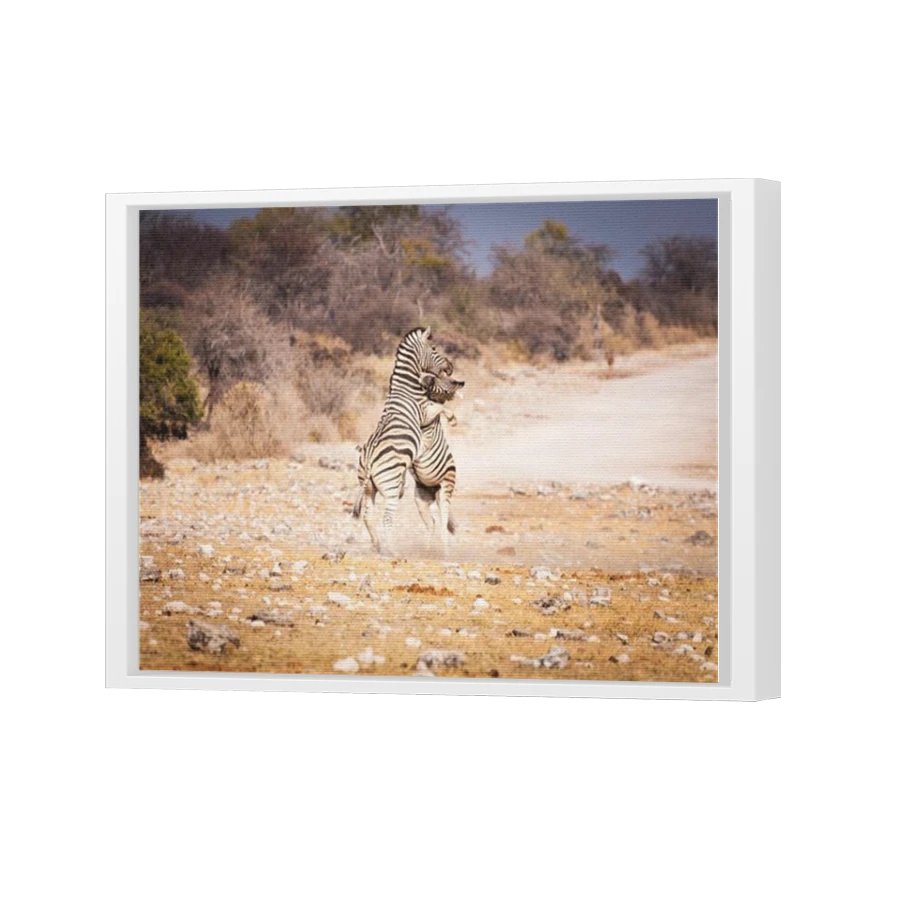 Thumbnail for Canvas - White Floating Frame