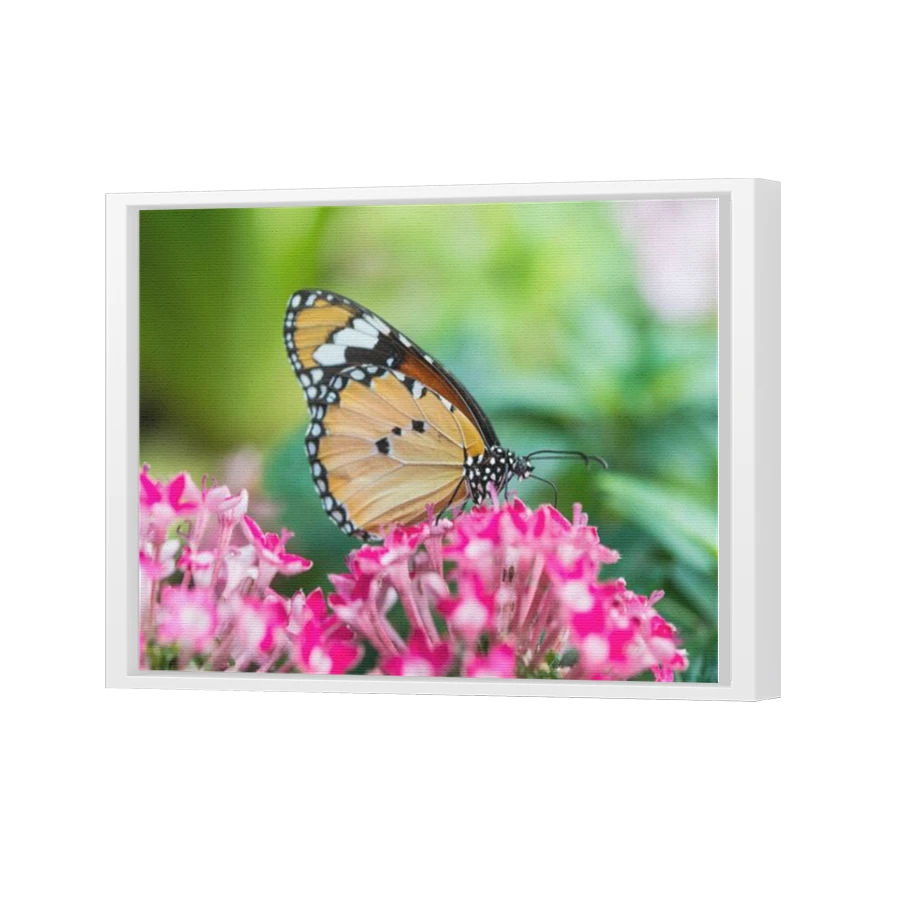 Thumbnail for Canvas - White Floating Frame