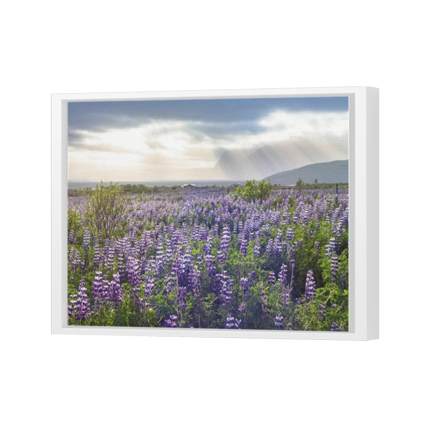 Thumbnail for Canvas - White Floating Frame