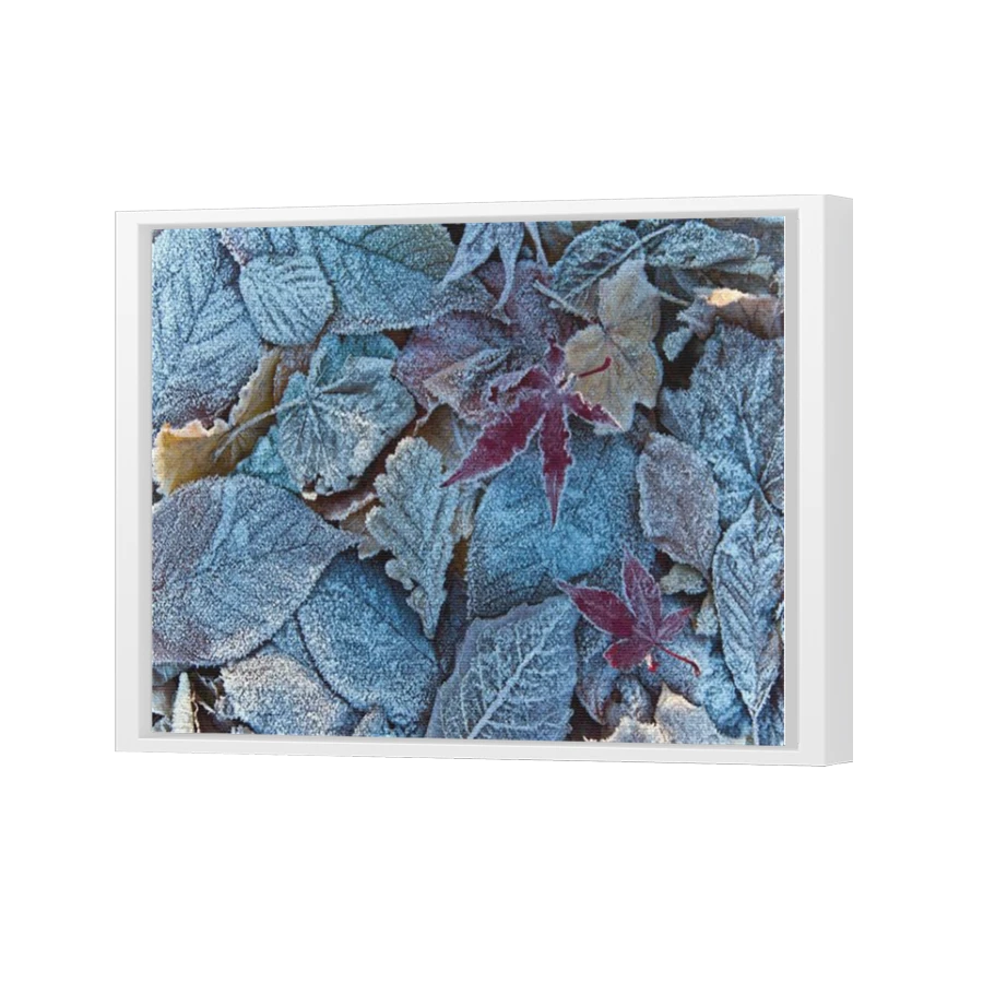 Thumbnail for Canvas - White Floating Frame