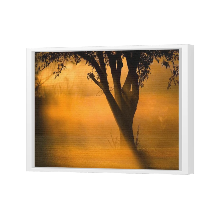 Thumbnail for Canvas - White Floating Frame