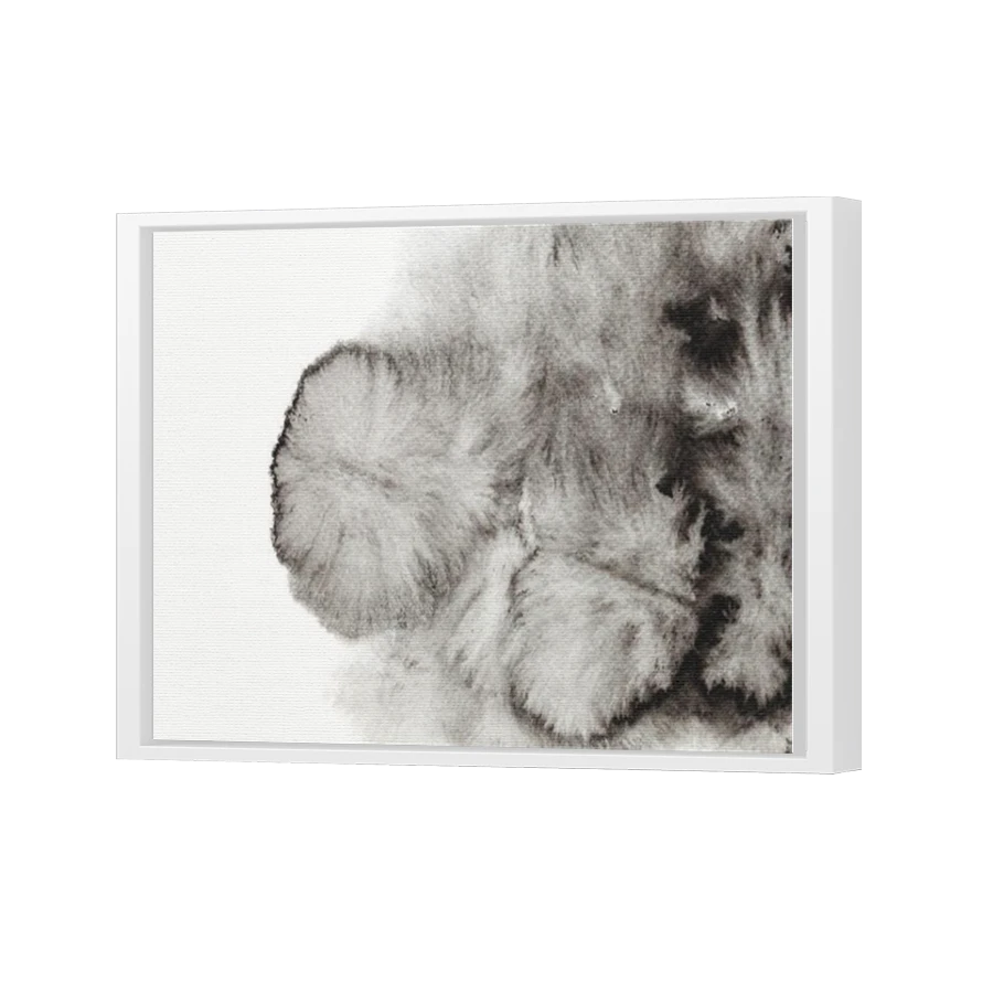 Thumbnail for Canvas - White Floating Frame