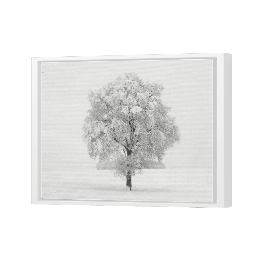 Thumbnail for Canvas - White Floating Frame