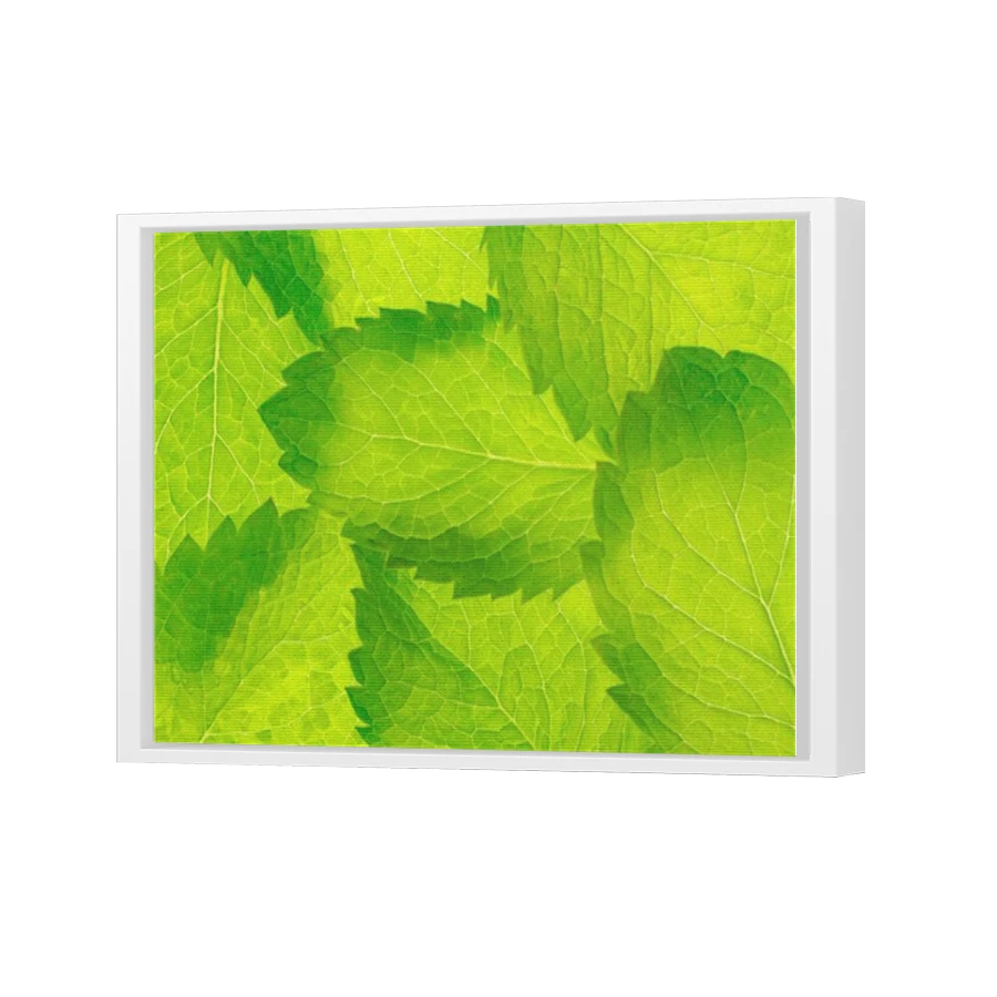 Thumbnail for Canvas - White Floating Frame