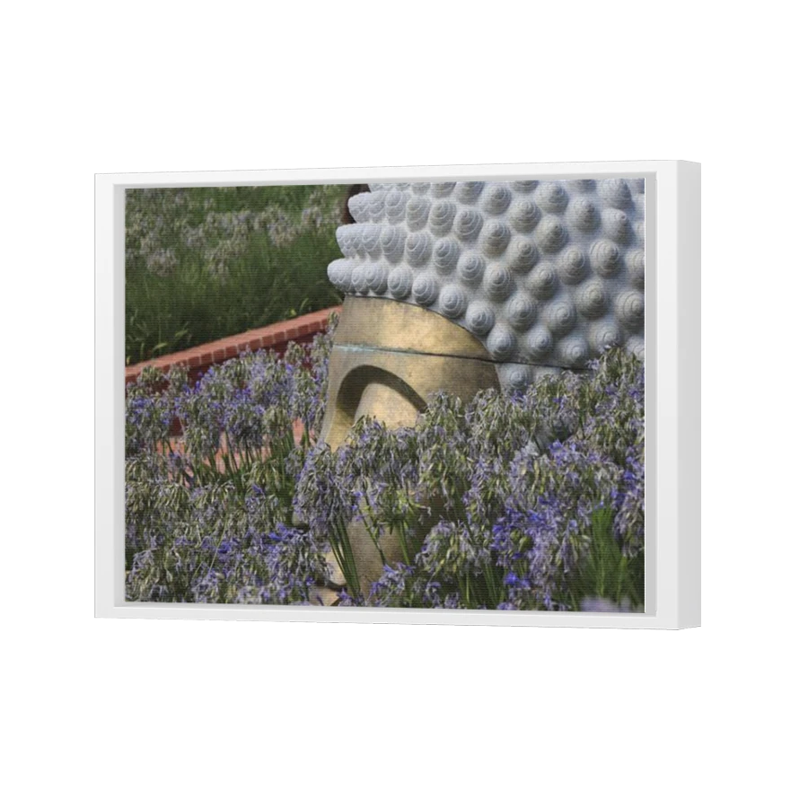 Thumbnail for Canvas - White Floating Frame