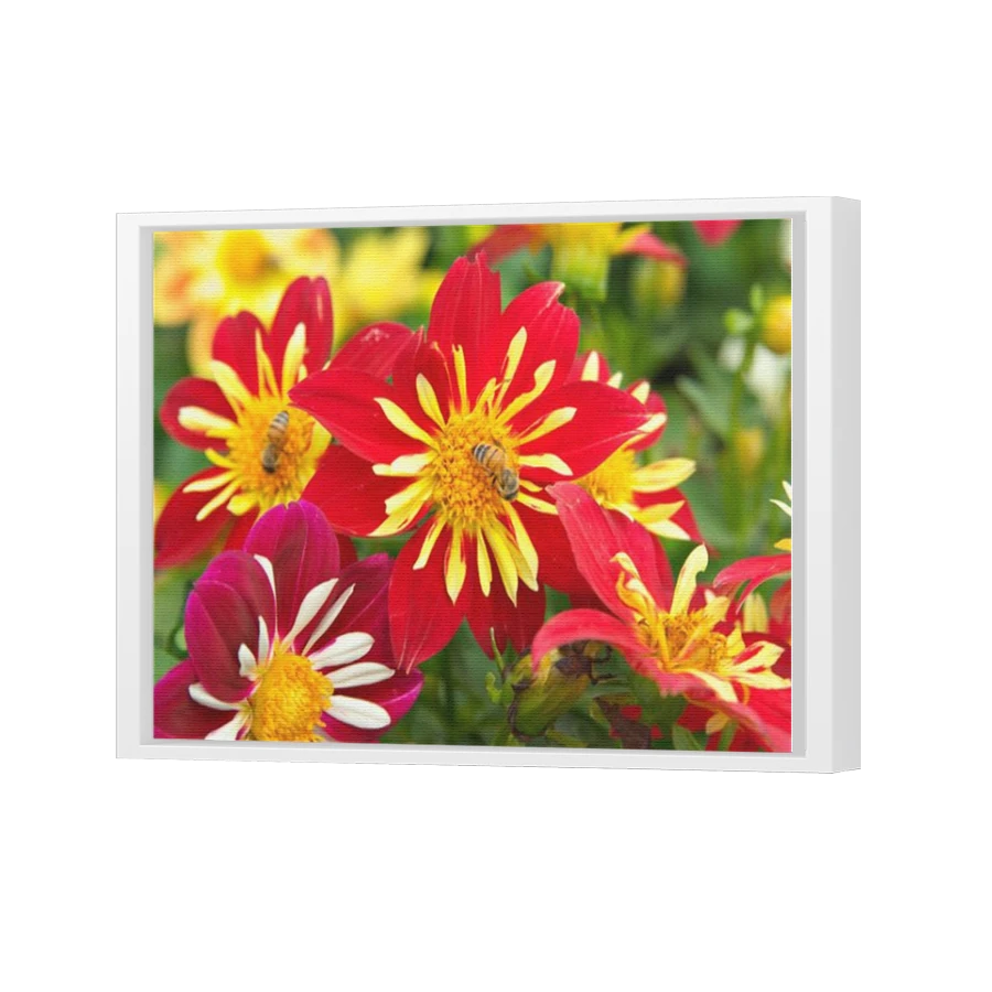 Thumbnail for Canvas - White Floating Frame