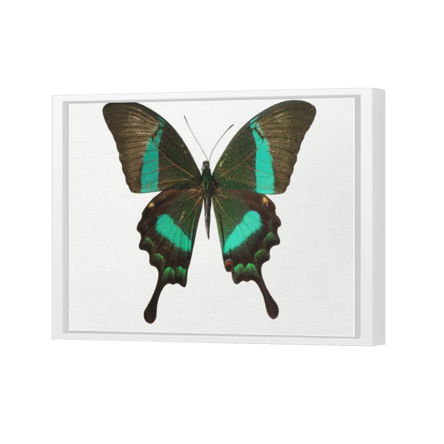 Thumbnail for Canvas - White Floating Frame