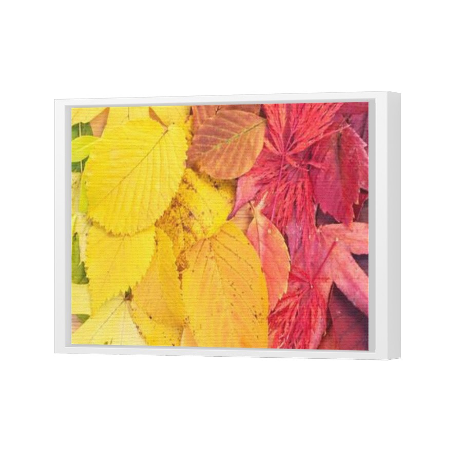 Thumbnail for Canvas - White Floating Frame