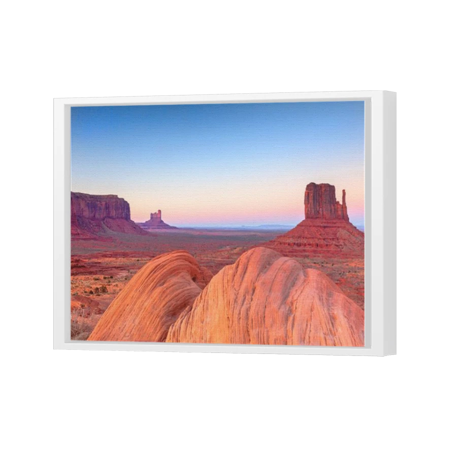 Thumbnail for Canvas - White Floating Frame