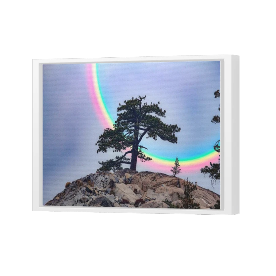 Thumbnail for Canvas - White Floating Frame