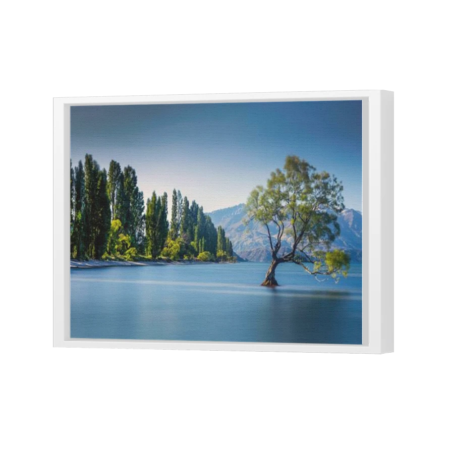 Thumbnail for Canvas - White Floating Frame