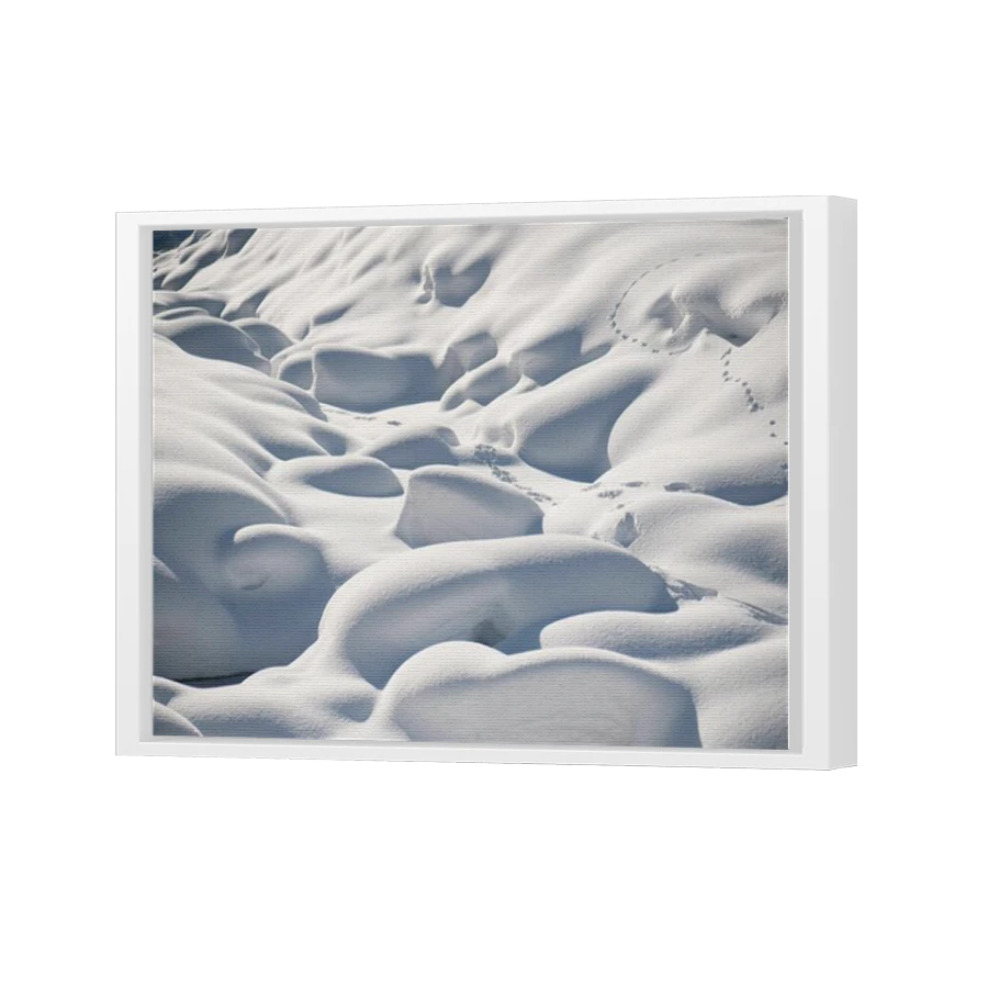 Thumbnail for Canvas - White Floating Frame