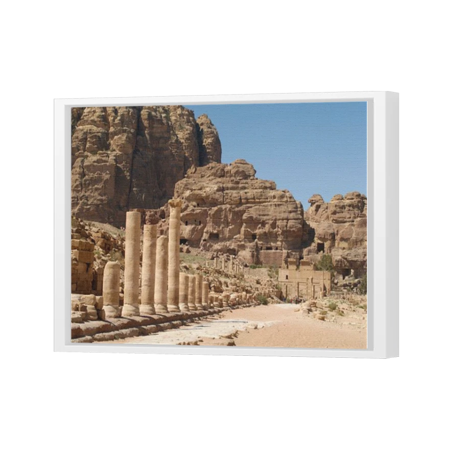 Thumbnail for Canvas - White Floating Frame