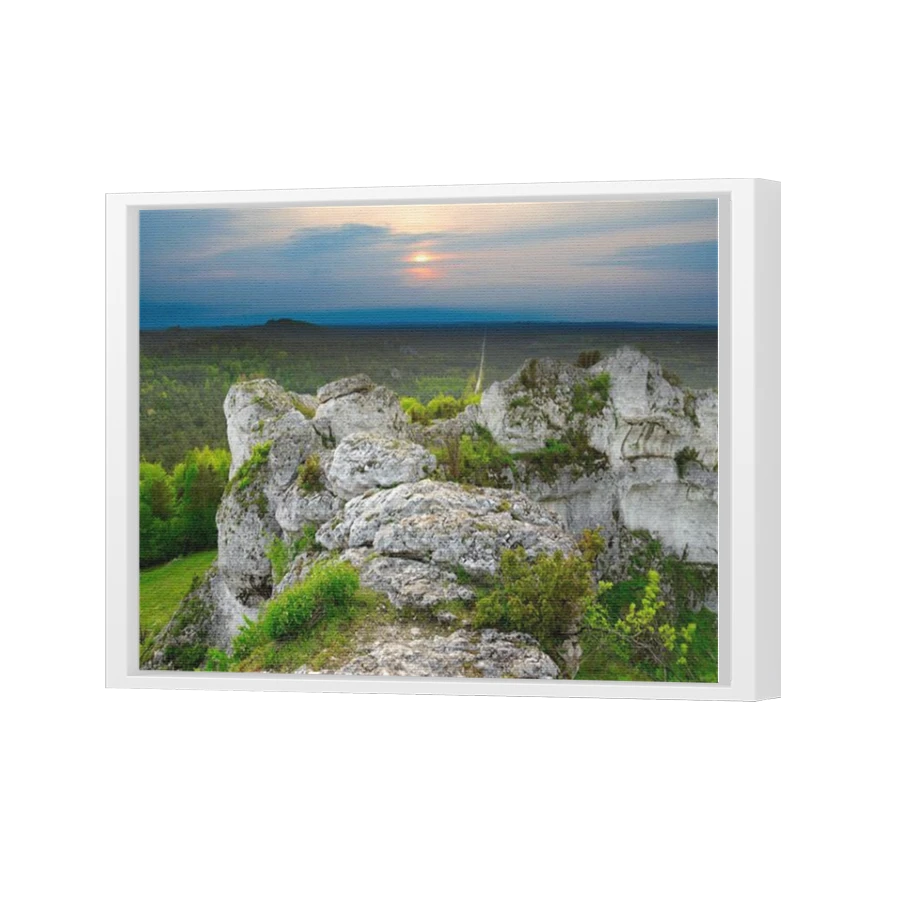 Thumbnail for Canvas - White Floating Frame