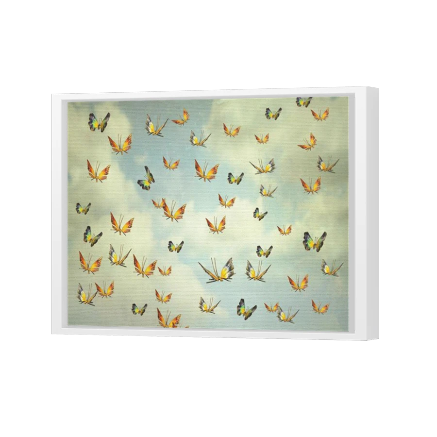 Thumbnail for Canvas - White Floating Frame