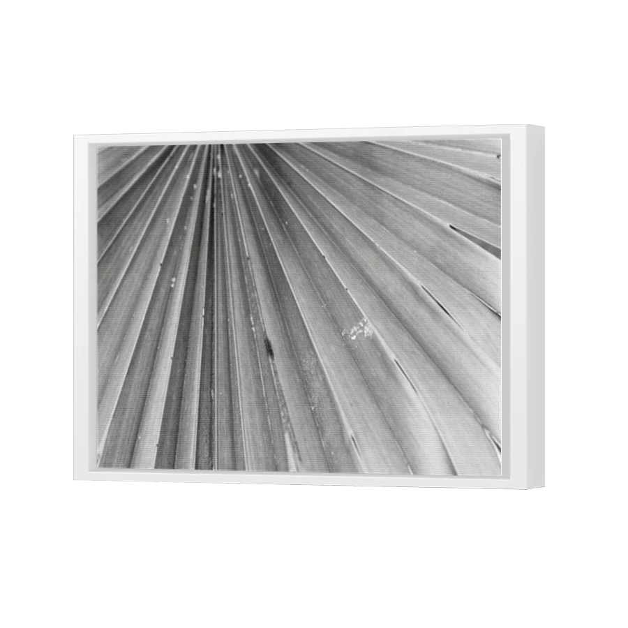Thumbnail for Canvas - White Floating Frame
