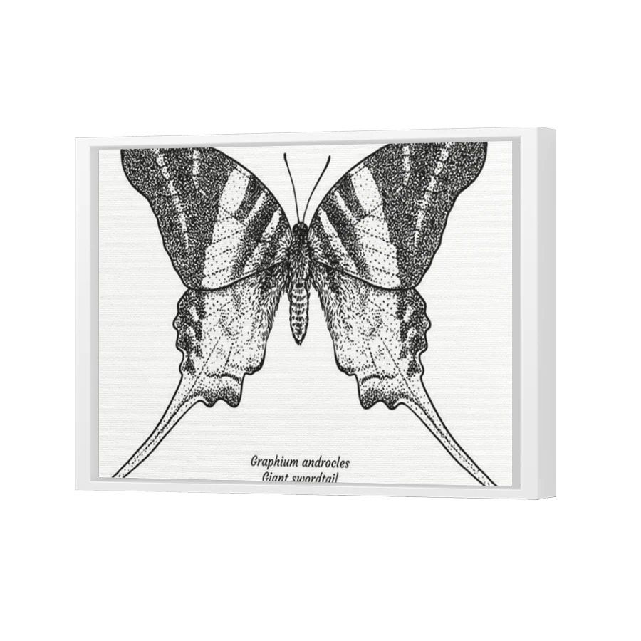 Thumbnail for Canvas - White Floating Frame