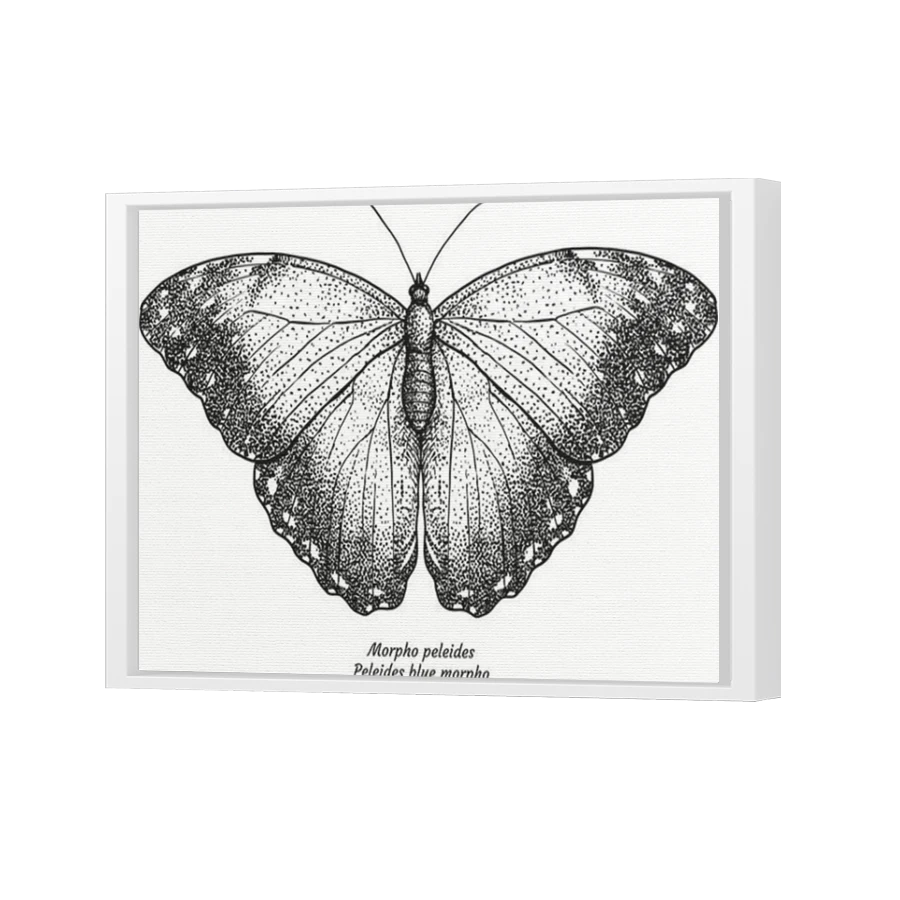 Thumbnail for Canvas - White Floating Frame