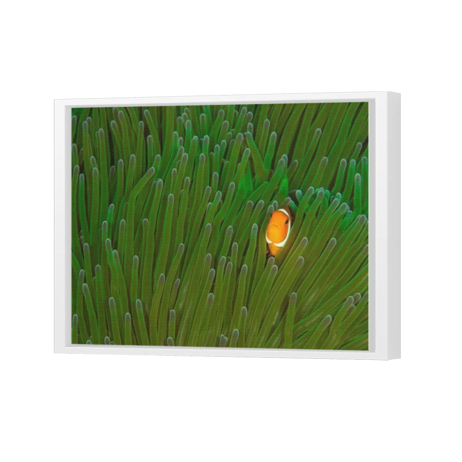 Thumbnail for Canvas - White Floating Frame