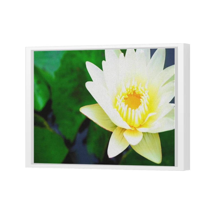 Thumbnail for Canvas - White Floating Frame