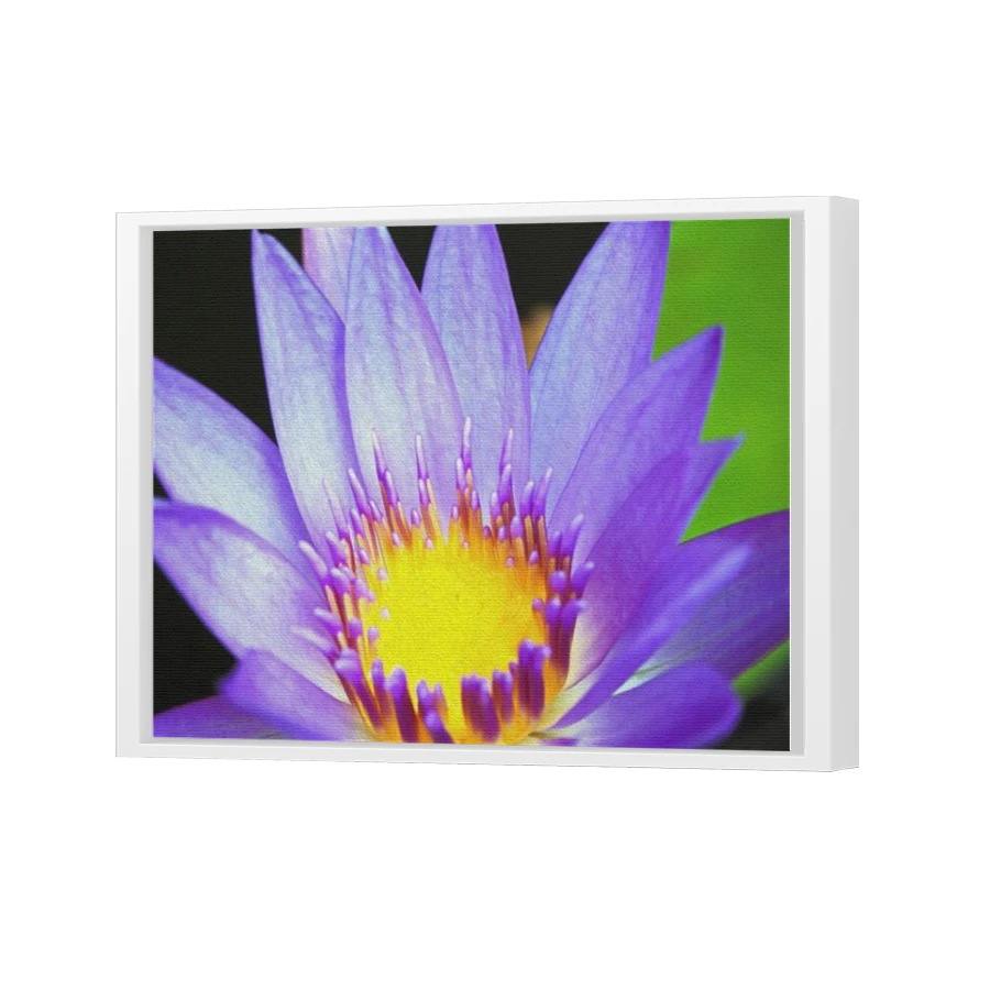 Thumbnail for Canvas - White Floating Frame