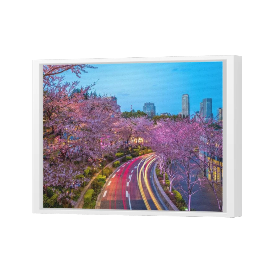Thumbnail for Canvas - White Floating Frame