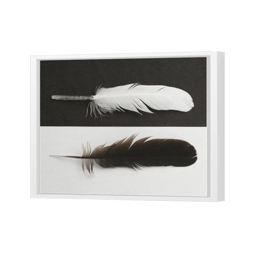 Thumbnail for Canvas - White Floating Frame