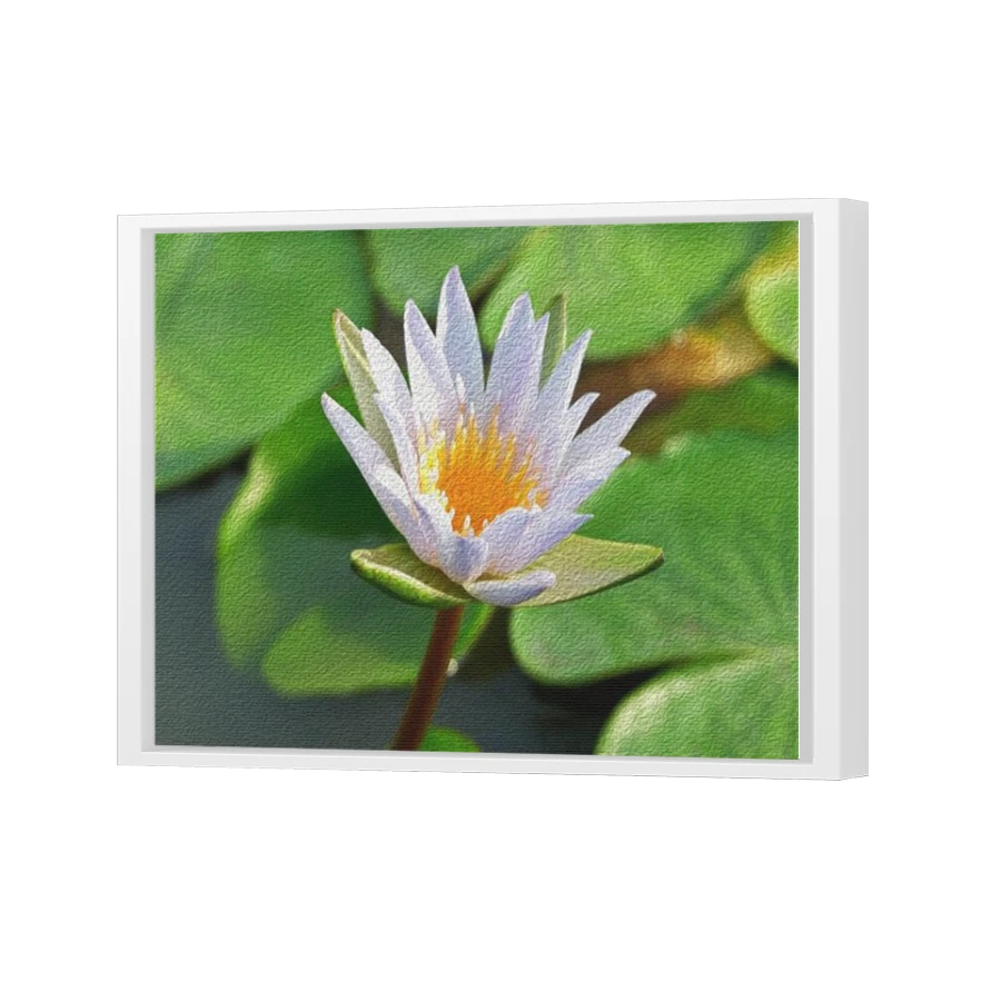 Thumbnail for Canvas - White Floating Frame