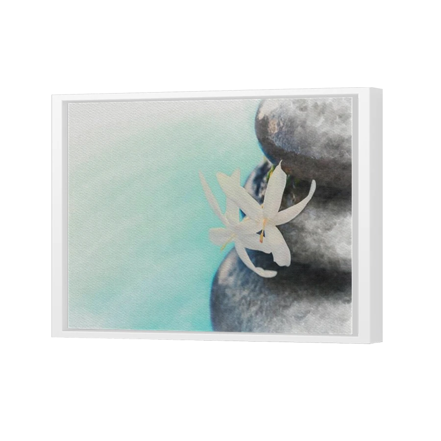 Thumbnail for Canvas - White Floating Frame