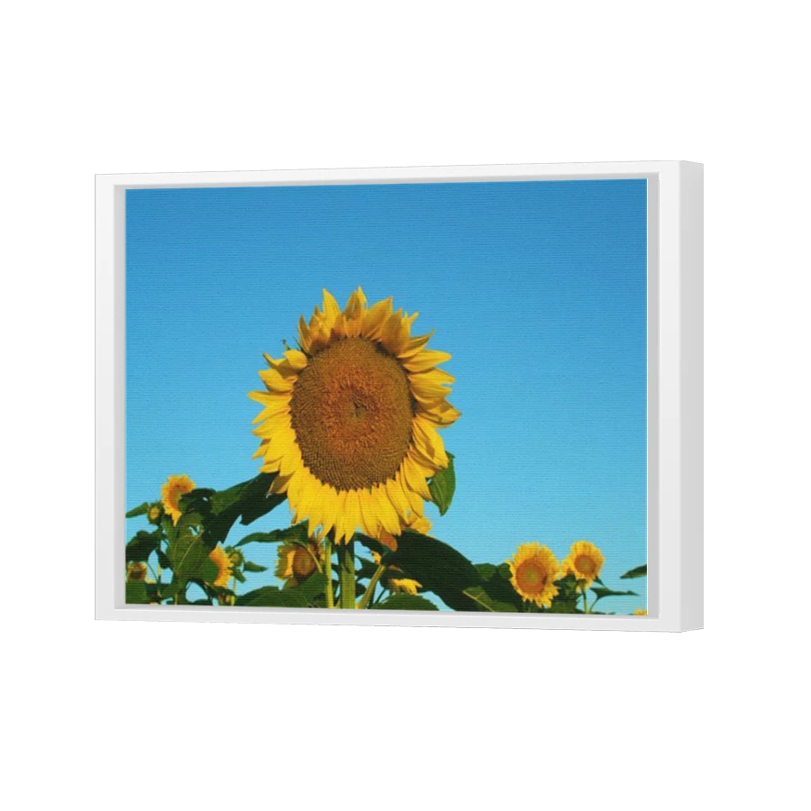 Thumbnail for Canvas - White Floating Frame
