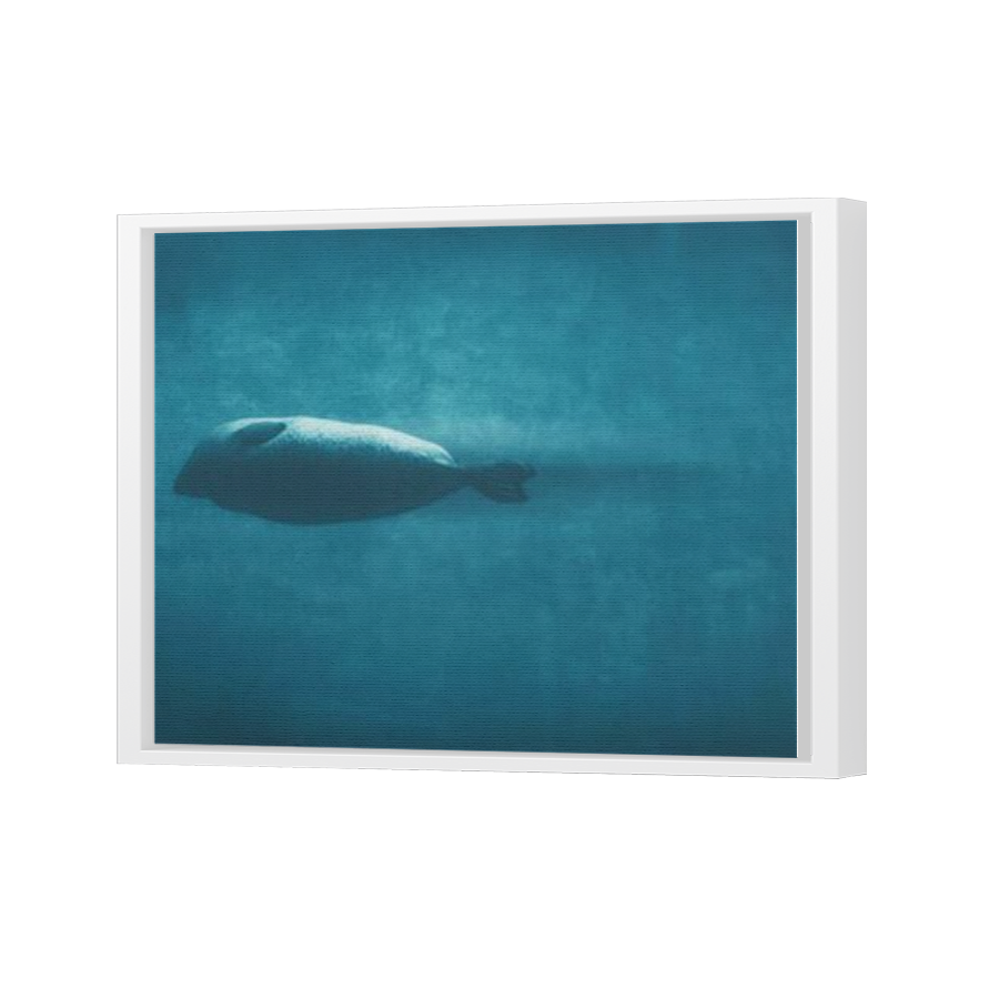 Thumbnail for Canvas - White Floating Frame