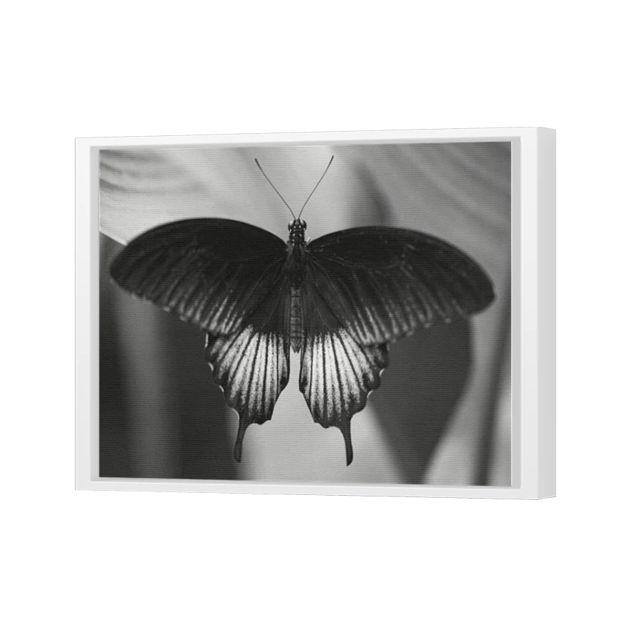 Thumbnail for Canvas - White Floating Frame