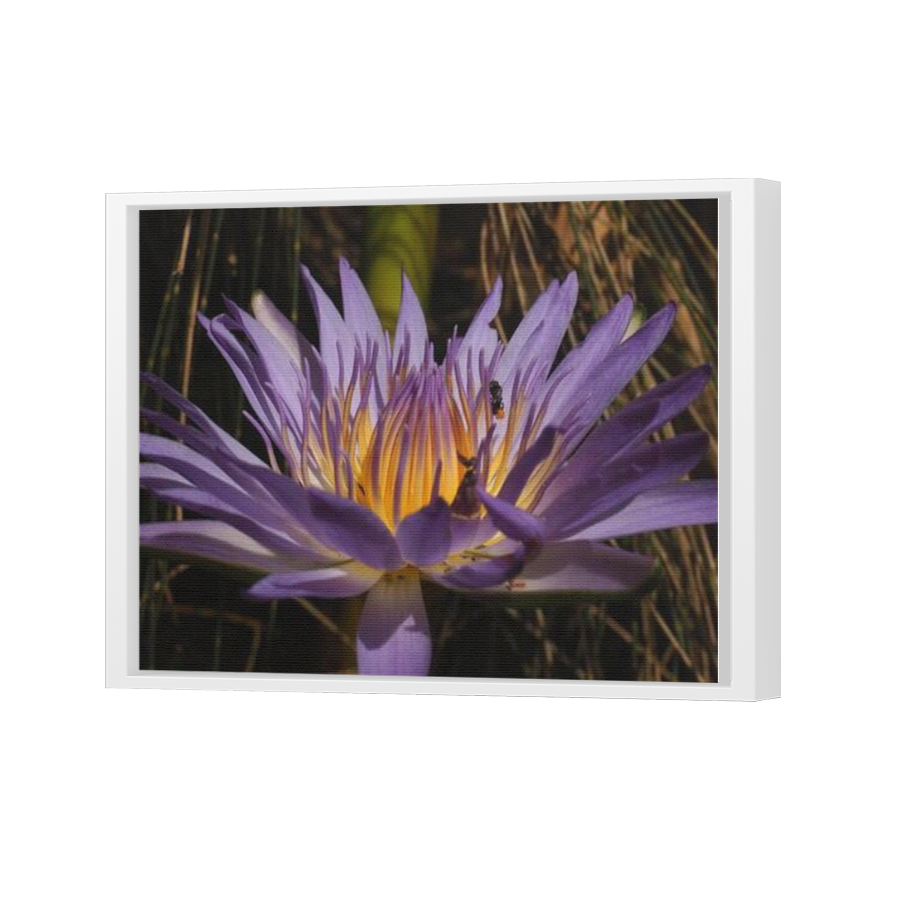 Thumbnail for Canvas - White Floating Frame