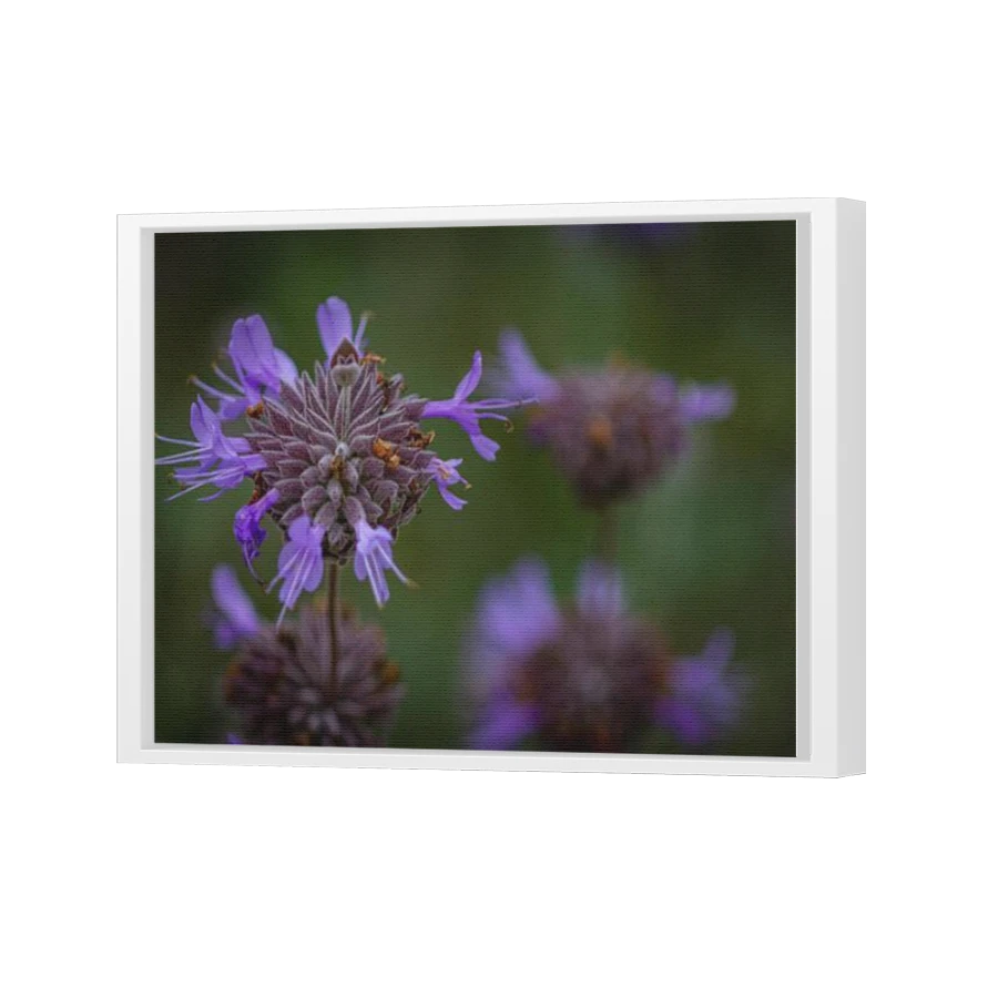 Thumbnail for Canvas - White Floating Frame