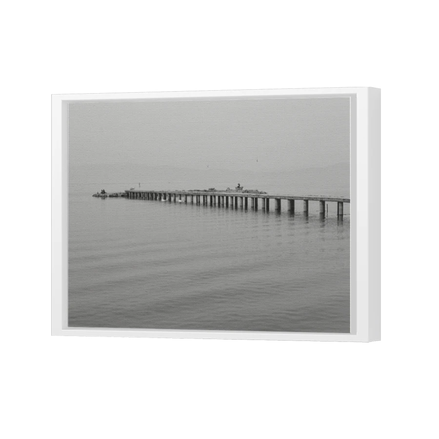 Thumbnail for Canvas - White Floating Frame
