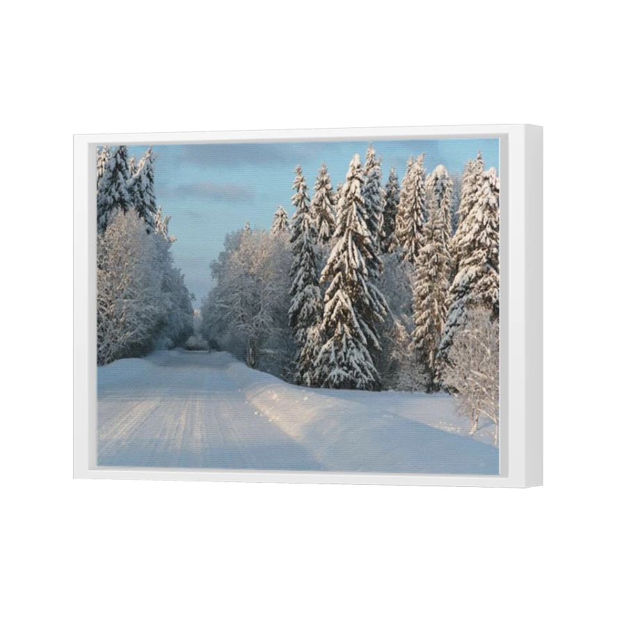 Thumbnail for Canvas - White Floating Frame