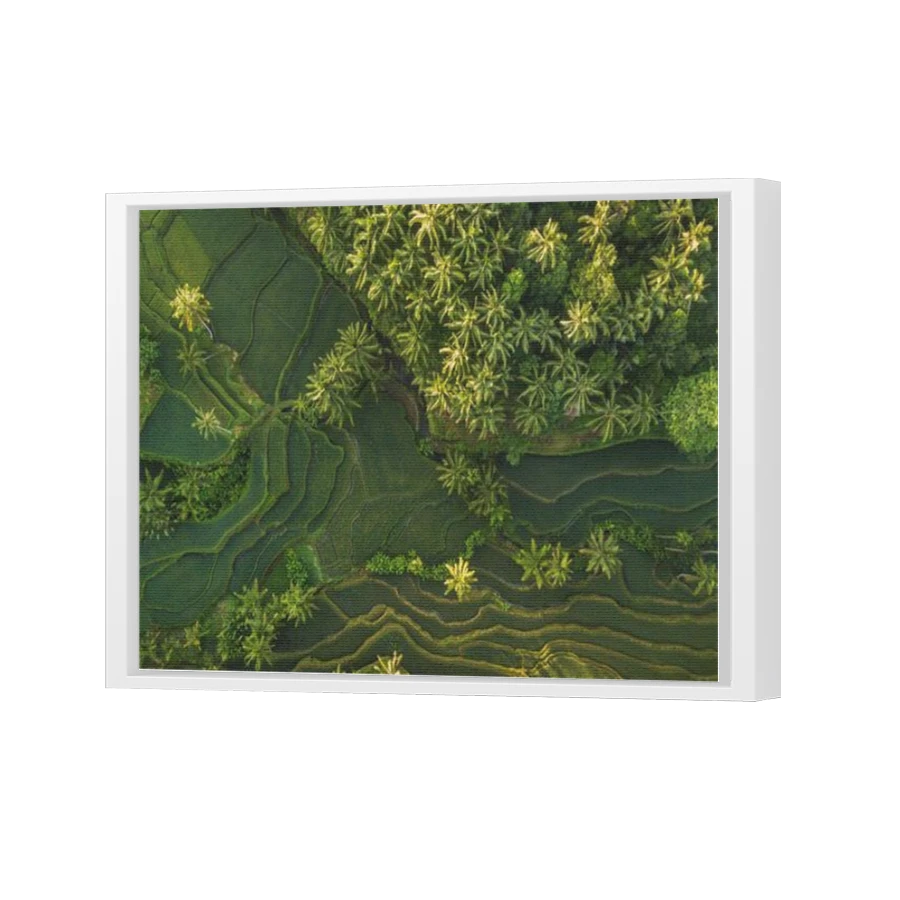 Thumbnail for Canvas - White Floating Frame