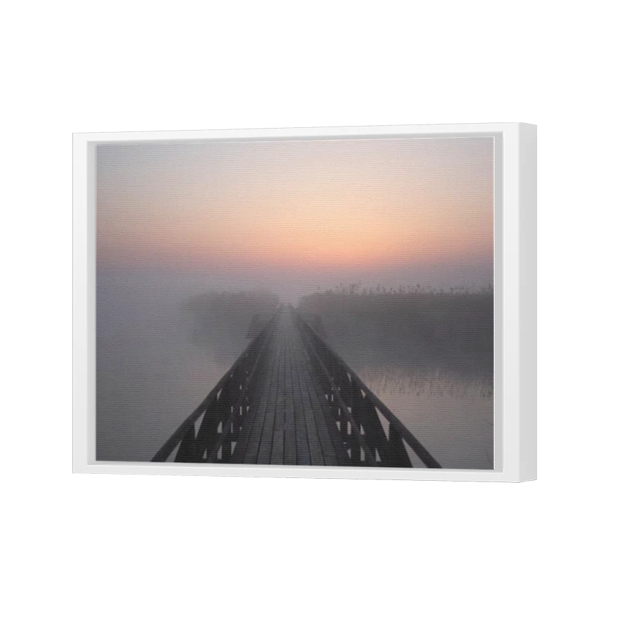 Thumbnail for Canvas - White Floating Frame