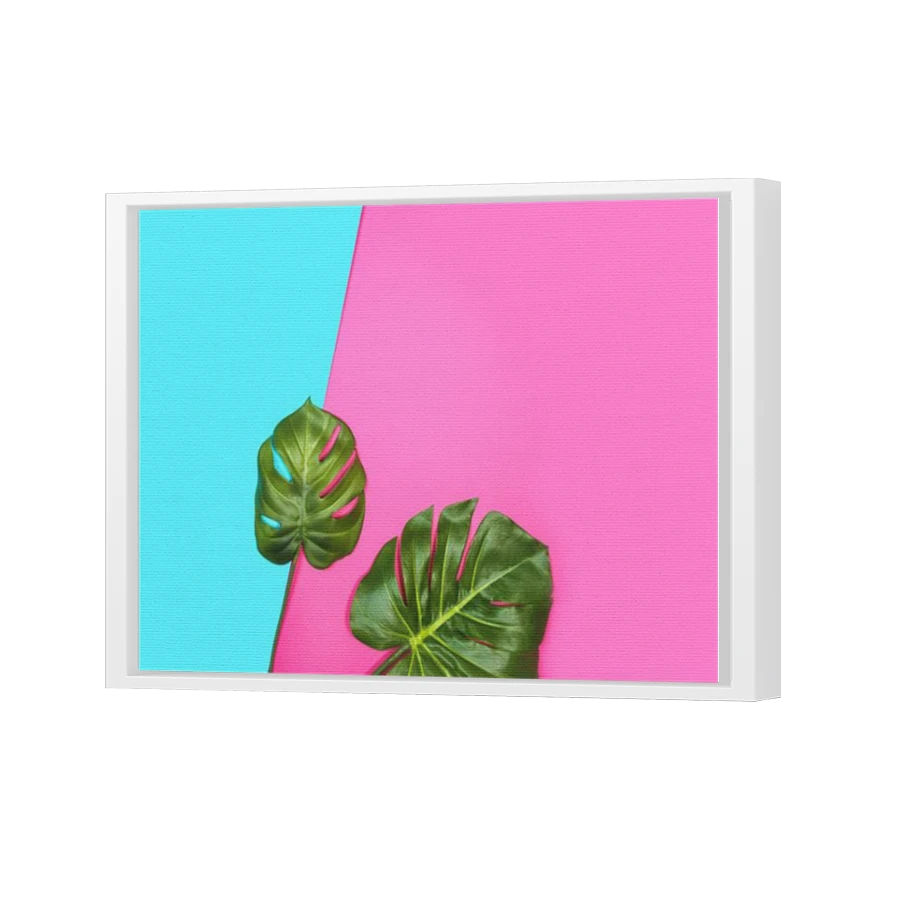 Thumbnail for Canvas - White Floating Frame