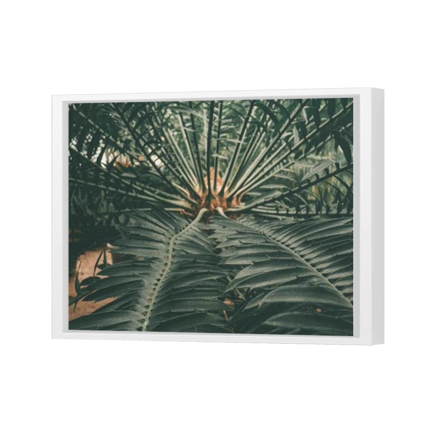 Thumbnail for Canvas - White Floating Frame
