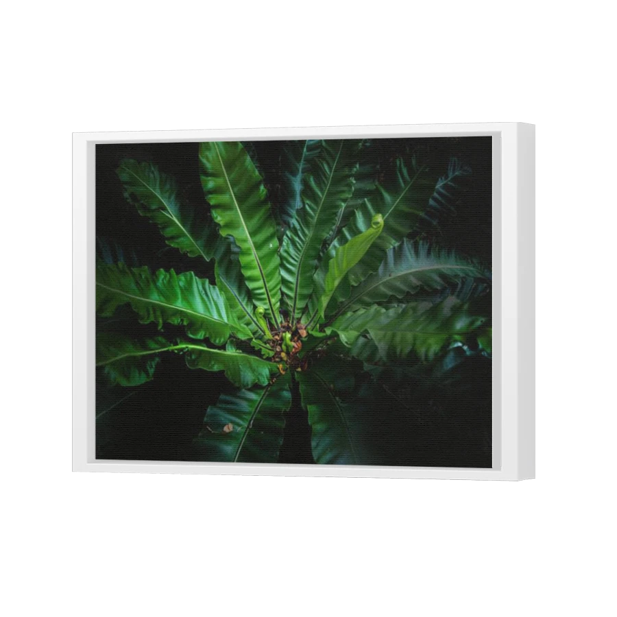 Thumbnail for Canvas - White Floating Frame