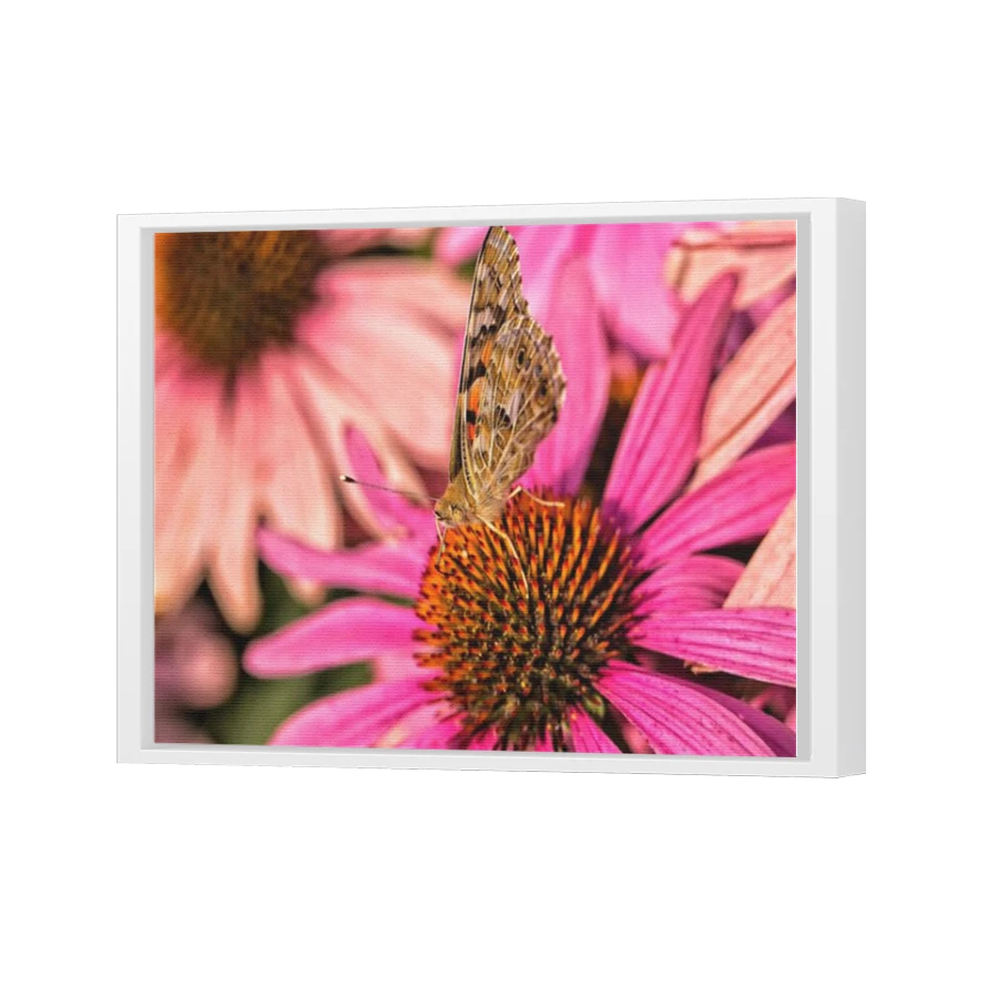 Thumbnail for Canvas - White Floating Frame