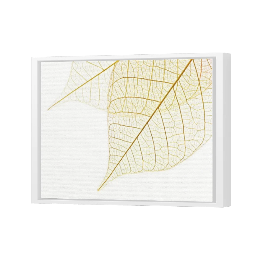 Thumbnail for Canvas - White Floating Frame