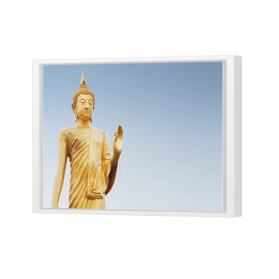 Thumbnail for Canvas - White Floating Frame