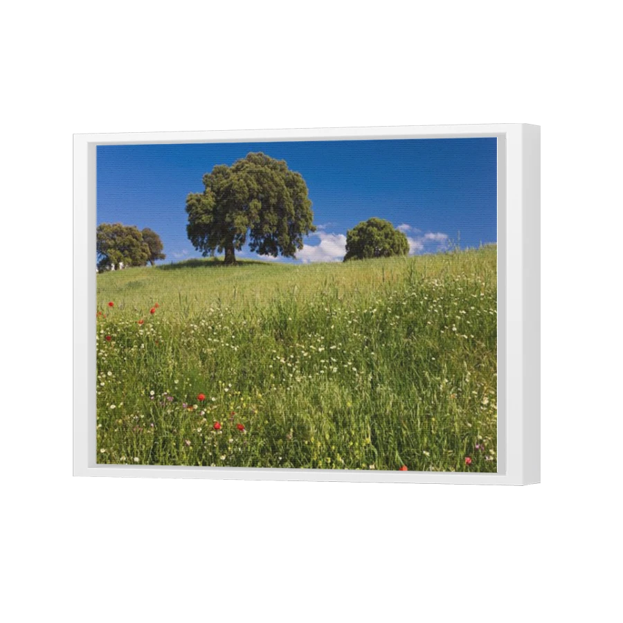 Thumbnail for Canvas - White Floating Frame