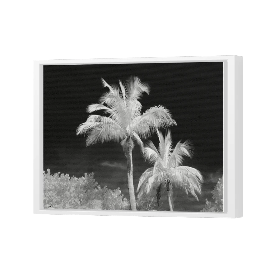 Thumbnail for Canvas - White Floating Frame
