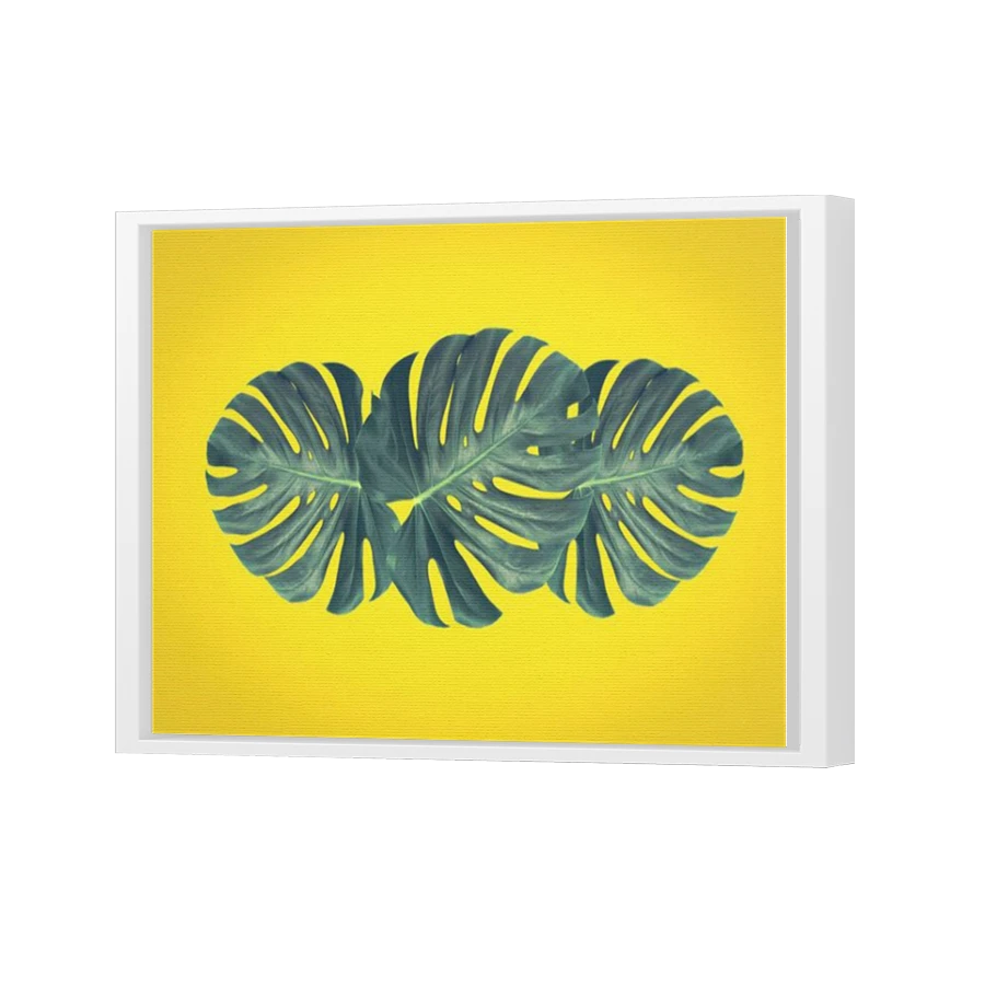Thumbnail for Canvas - White Floating Frame