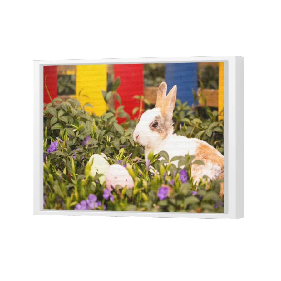 Thumbnail for Canvas - White Floating Frame