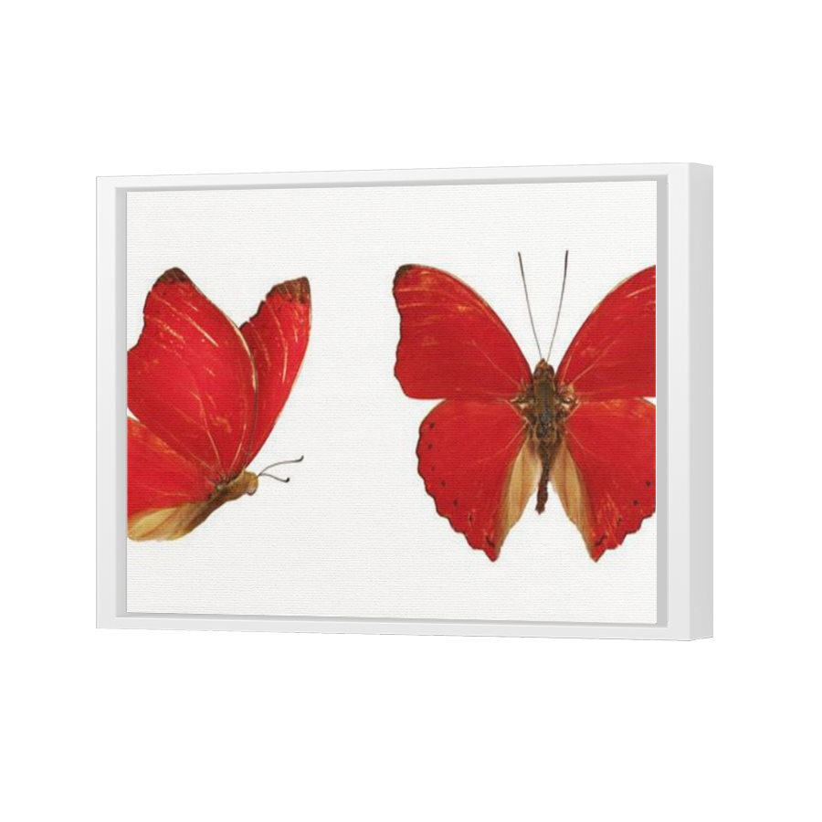 Thumbnail for Canvas - White Floating Frame